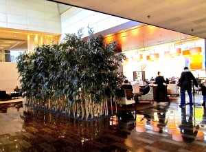 Park Hyatt Zurich